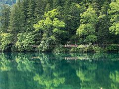 -九寨沟风景区