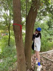 -成都艾特他整形外科医院
