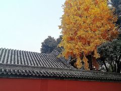 -西安市广仁寺