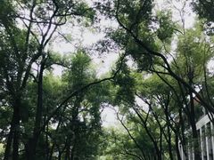 -四川大学(望江校区)