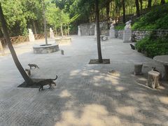 -四门塔风景区