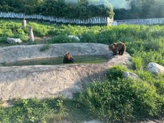 -西安秦岭野生动物园