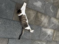 -迎江寺