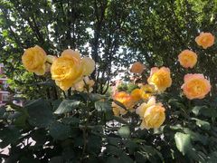 -至尚形象·化妆服饰搭配礼仪培训