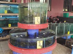 -文海饭店(朝阳路店)