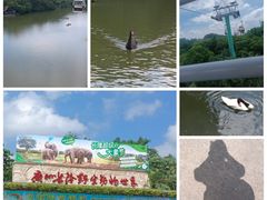 -广州长隆野生动物世界