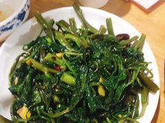 -东吴霸王兔(松青路店)