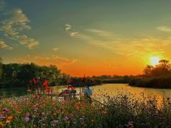 -西溪国家湿地公园