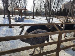 -大连森林动物园