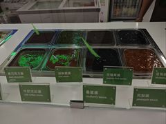 -Salud撒露欧洲冻酸奶(五道口购物中心店)