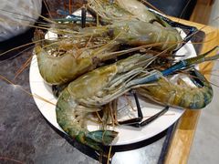 -川骄海鲜自助(河东店)