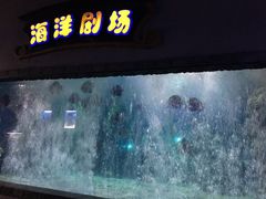 -南昌海洋公园