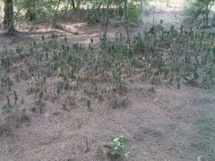 -西涌国际滨海旅游区