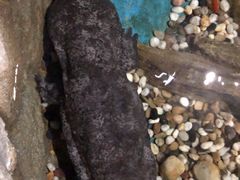 -多彩贵州城极地海洋世界