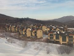 -亚布力新体委滑雪场