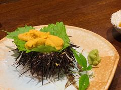 大马粪海胆刺身-加奈日本料理