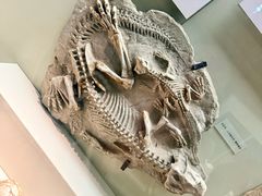 -天津自然博物馆