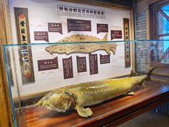 -胖姐渔村(中源大道店)