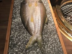 -茶六烧肉堂 博爱店