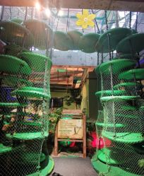 -恐龙探索乐园(磁器口店)