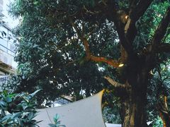 -T館·花园艺术餐厅