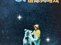-灵玲国际马戏城