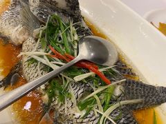 -骏莱海鲜鱼港(五角场店)