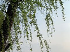 -南昌青山湖风景区
