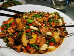 尖椒兔-新概念来凤鱼(璧山店)