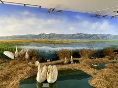 -延庆地质公园博物馆