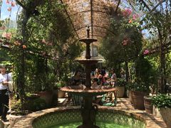 -The Grounds of Alexandria