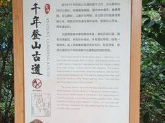 -北京鹫峰国家森林公园