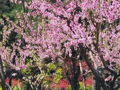 -木塔寺遗址生态公园