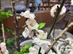 -今日陶艺(富力广场店)