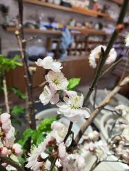 -今日陶艺(富力广场店)