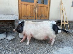 -小时光咖啡馆(开森度假森林店)