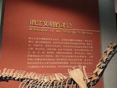 -齐齐哈尔市博物馆