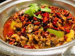 馋嘴牛蛙-辛香汇·锦里丨现炒川菜(和信宝龙店)