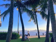 -深圳湾公园(南山区)