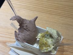 -野人先生现做冰淇淋(北京顺义祥云小镇店)