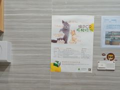 -瑞派名望志远动物医院·猫科·內科·异宠专科(直港大道店)