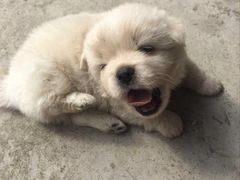 -乡乐园蟹庄·阳澄湖农家乐