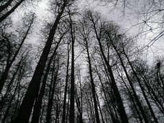 -共青国家森林公园-售票处