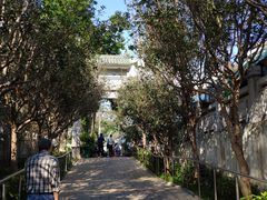 -园圃街雀鸟花园