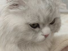 -万达广场(大明宫店)