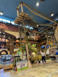 -卡通尼·Safari非洲探索乐园·生日会(金桥国际商业广场店)