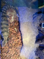 -酷嗒动物文化乐园(cutezoo西溪乐天城店)