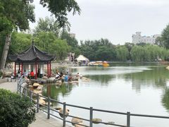-莲湖公园