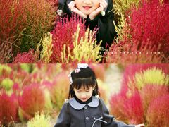 -天津东丽湖风景区