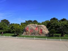 -塘沽森林公园